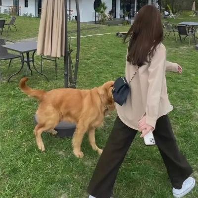 搏击迷城